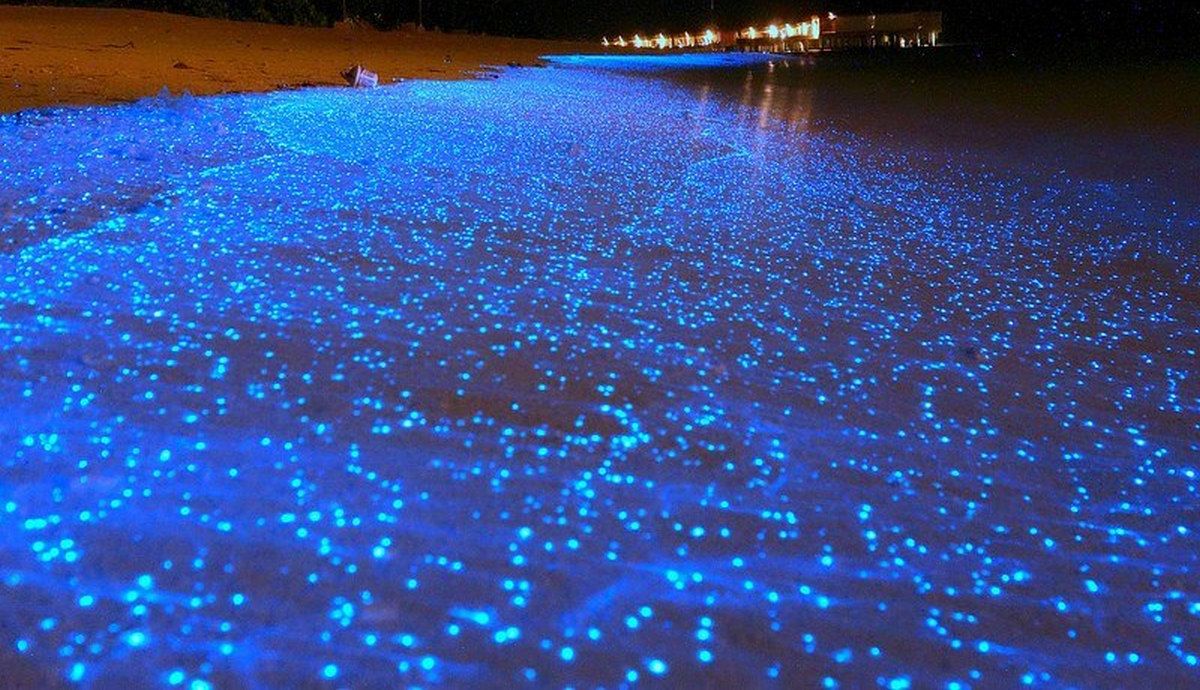 the sea of stars